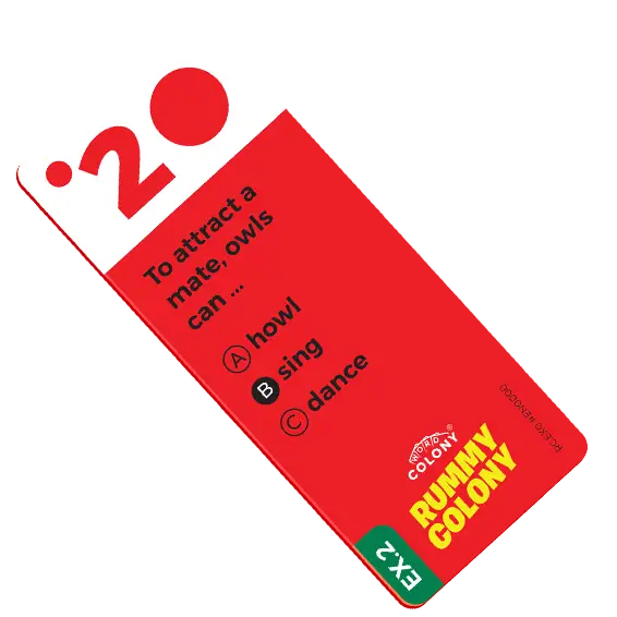 Wild animals  Game Expansion Rummy Colony board game for family and kids created by Dorian Sarmasan a romanian games designer and creative director of Karpathic Brands